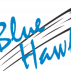 Blue Hawks Profielfoto van Blue Hawks